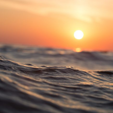 False Bay Protect Nipper Rip Current Fisherman