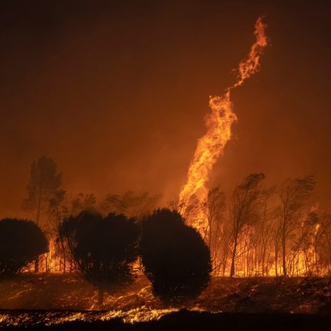 Wildfires