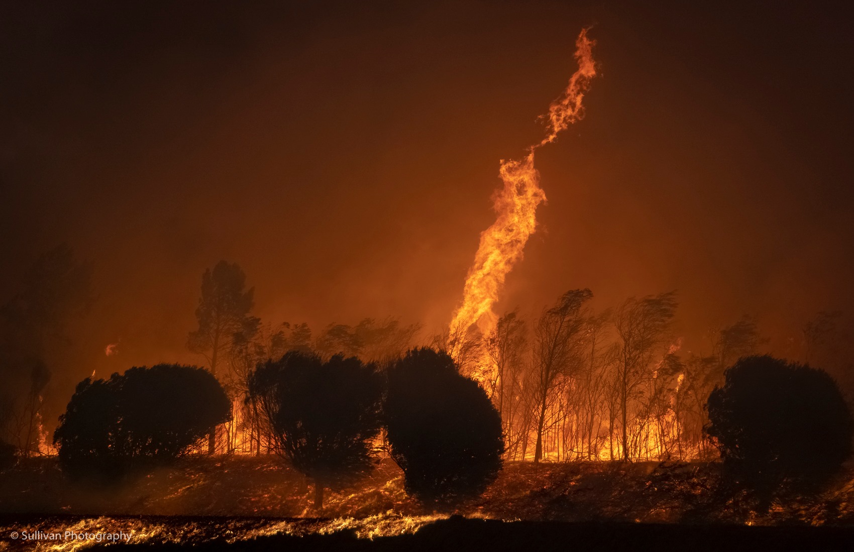 Wildfires