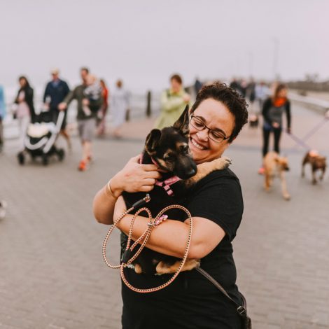 Over 300 dogs are taking to the Sea Point promenade