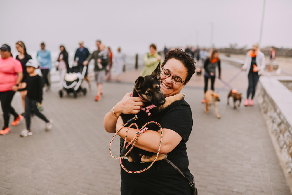 Over 300 dogs are taking to the Sea Point promenade