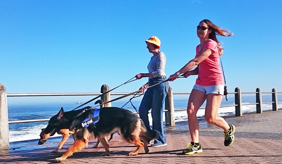 Over 300 dogs are taking to the Sea Point promenade