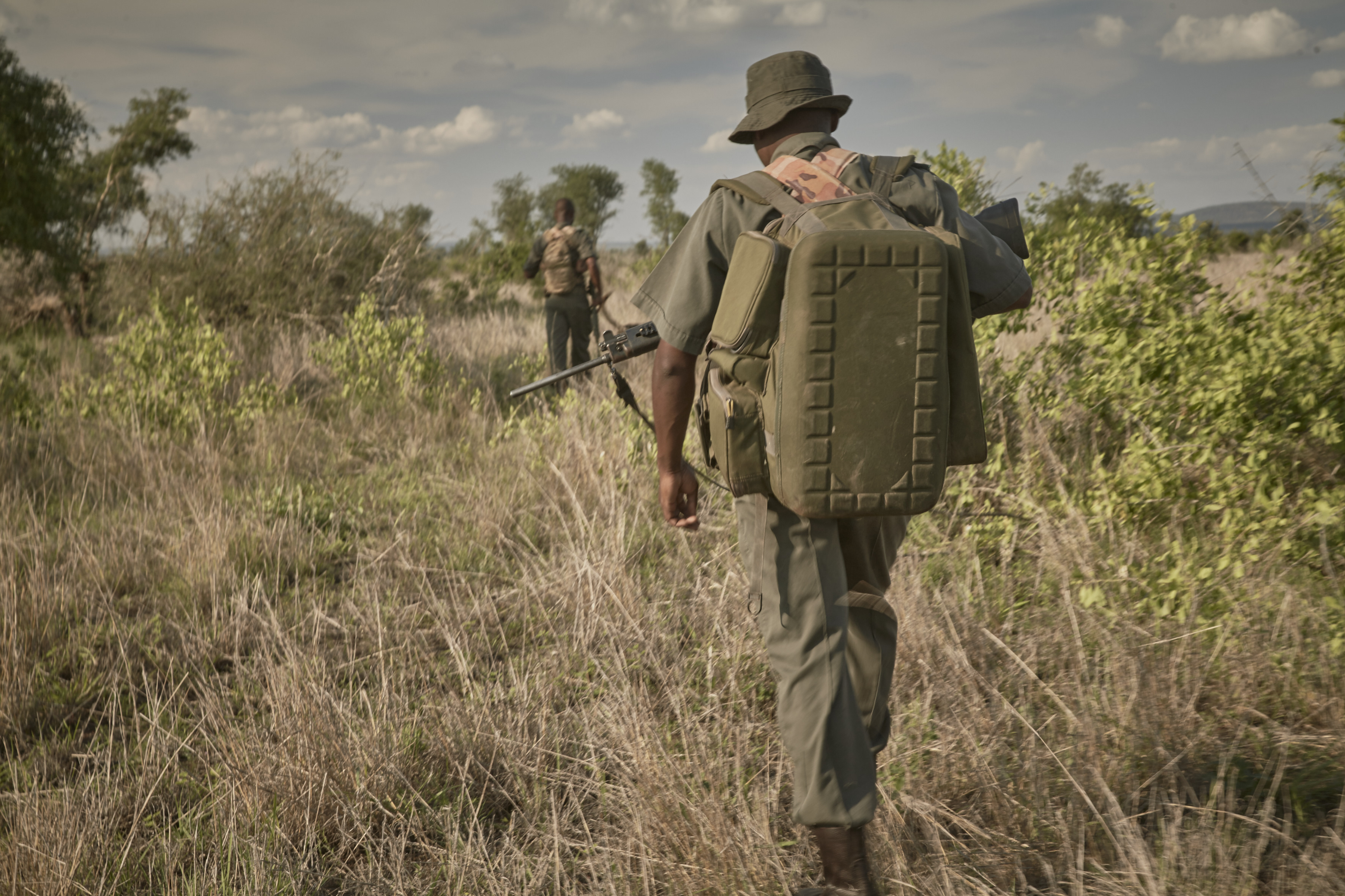 Raising a glass for our rangers who continue to fight poaching during COVID-19 pandemic