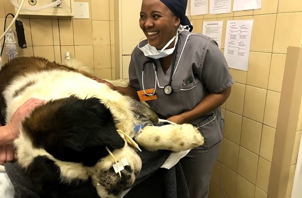 Dr Zandile Mbonxa is believed to be the first vet from Orange Farm and says she loves the profession.