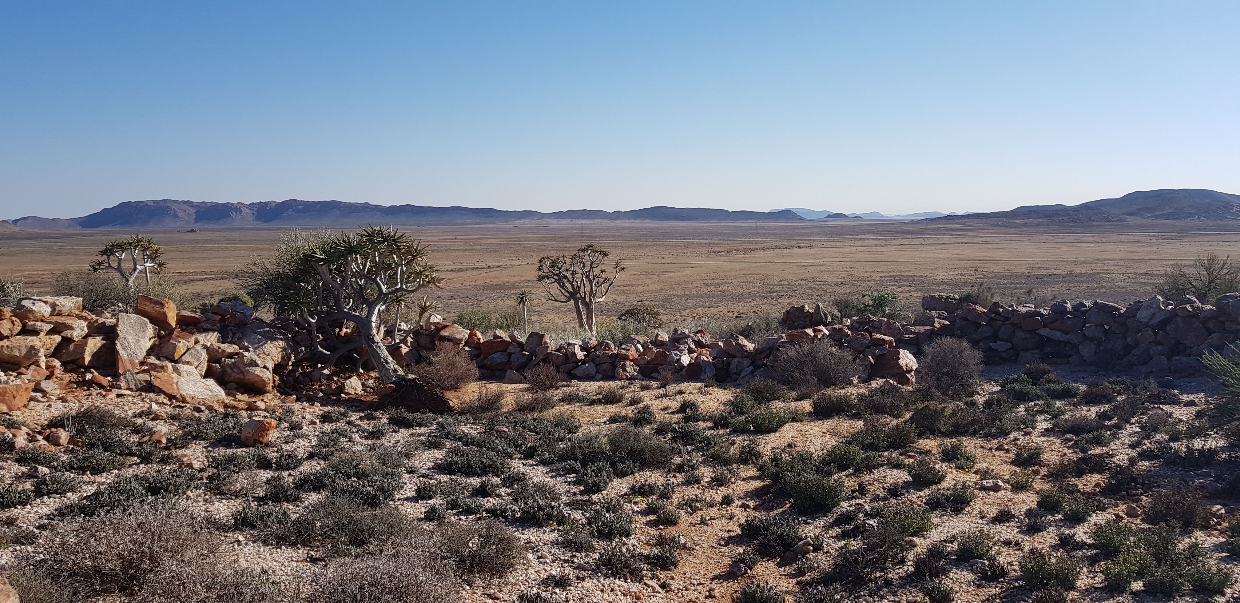 Four new Nature Reserves declared to safeguard the “island mountains” of the Northern Cape