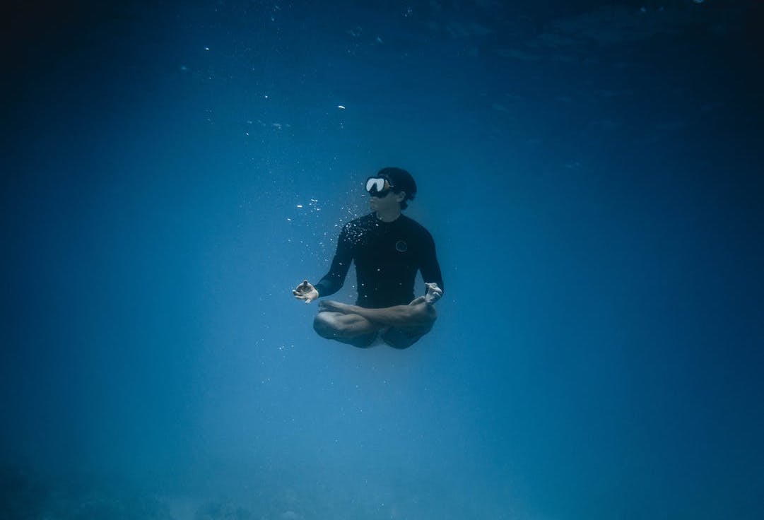divemaster - South African Youth using our oceans to make the world even greater!