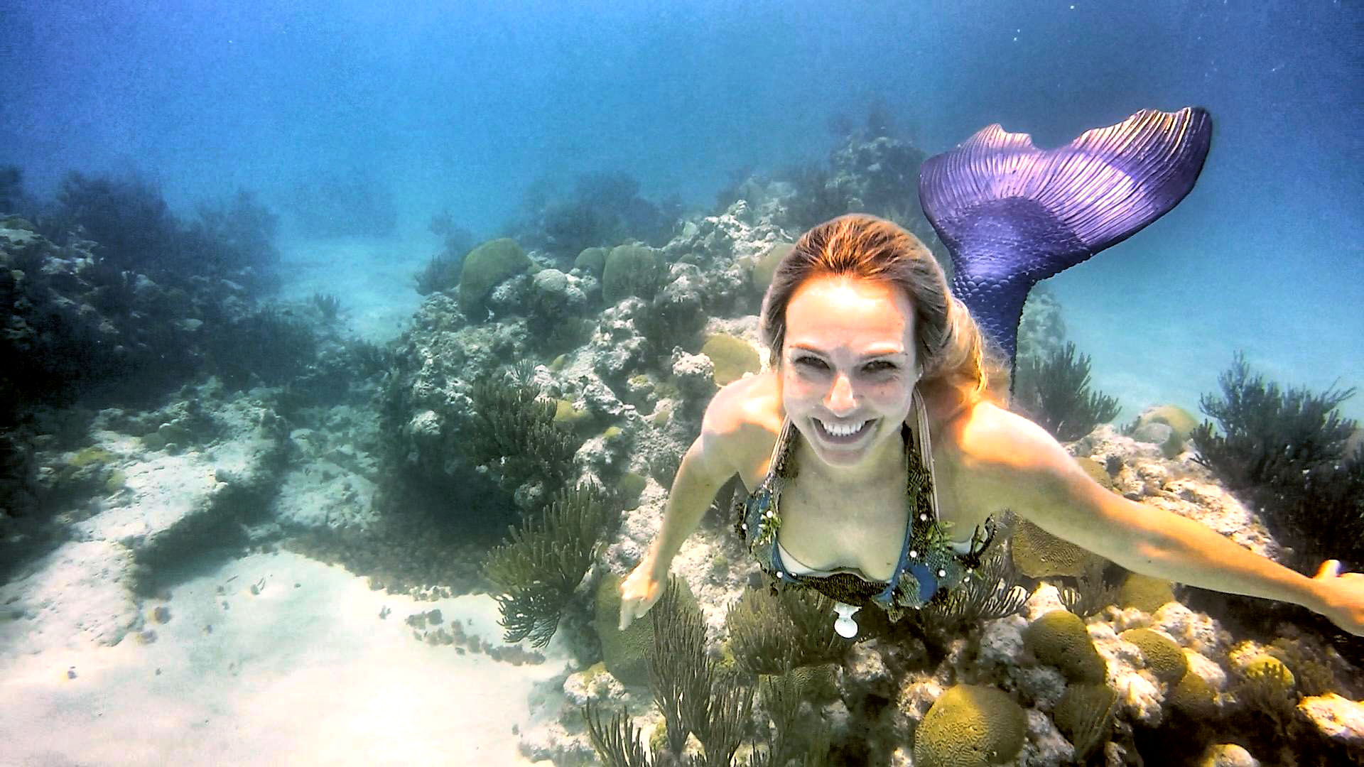Beth Neale - South African ‘Mermaid’ freediving champion films KZN South Coast’s Sardine Run