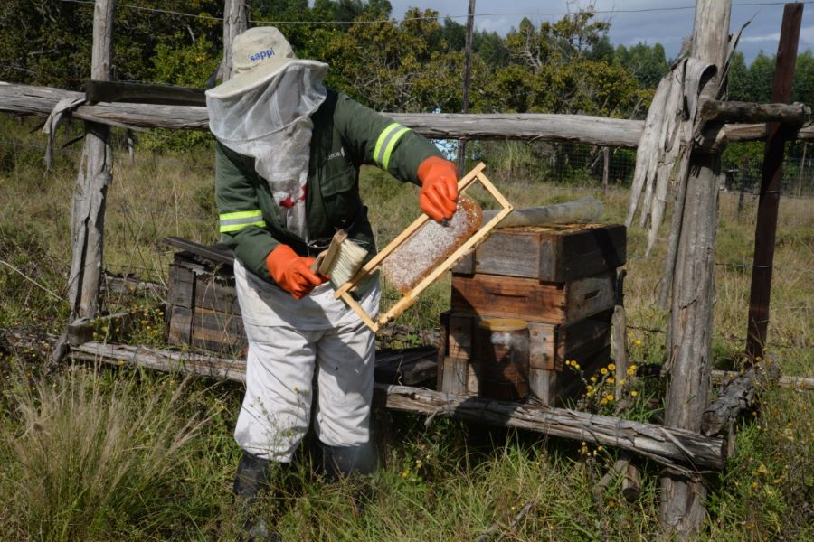 Beekeepers