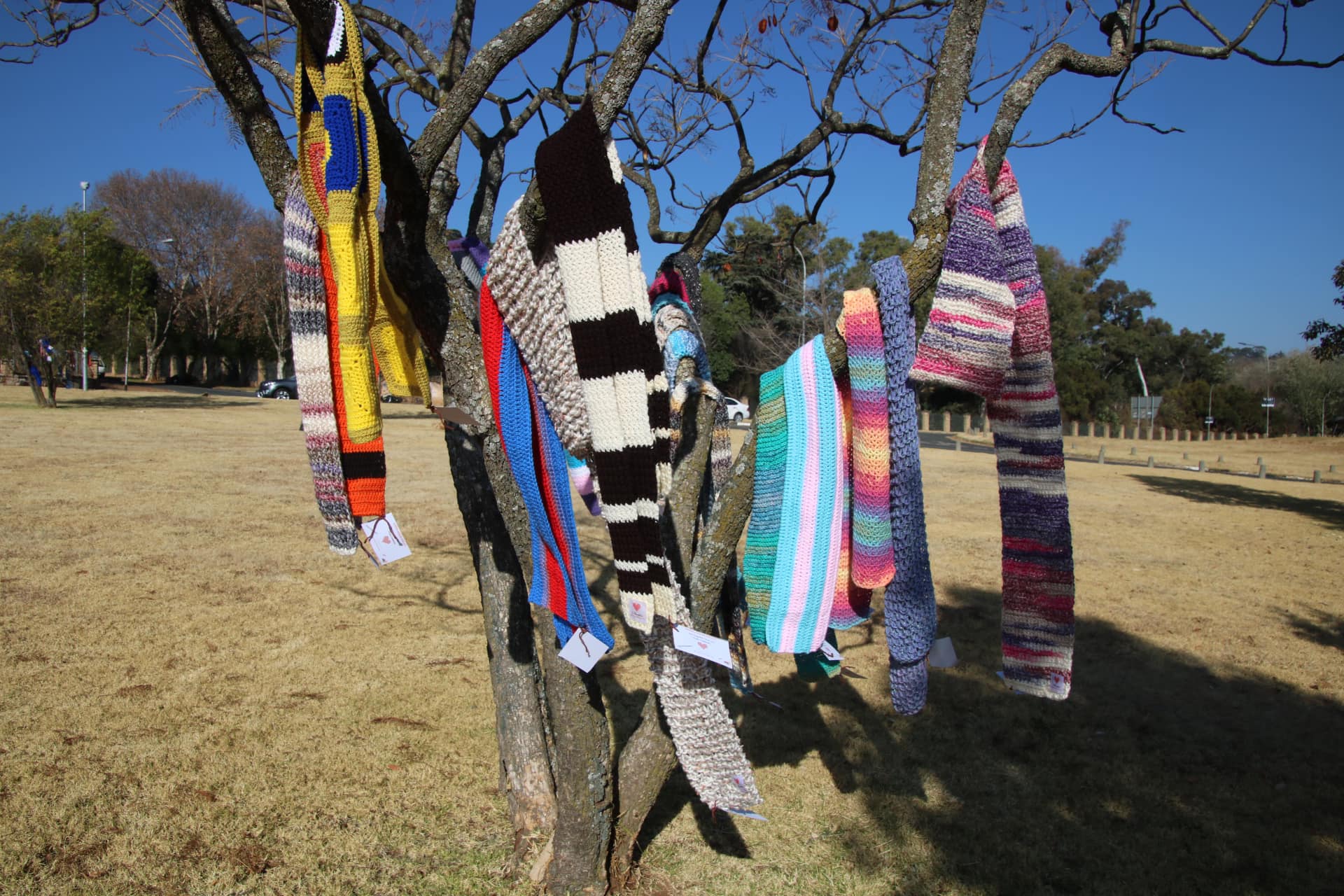 Because even in the middle of the COVID-19 pandemic, Carolyn Steyn and her KnitWits have been hard at work making sure the secret scarf mission will keep the most vulnerable warm this winter!