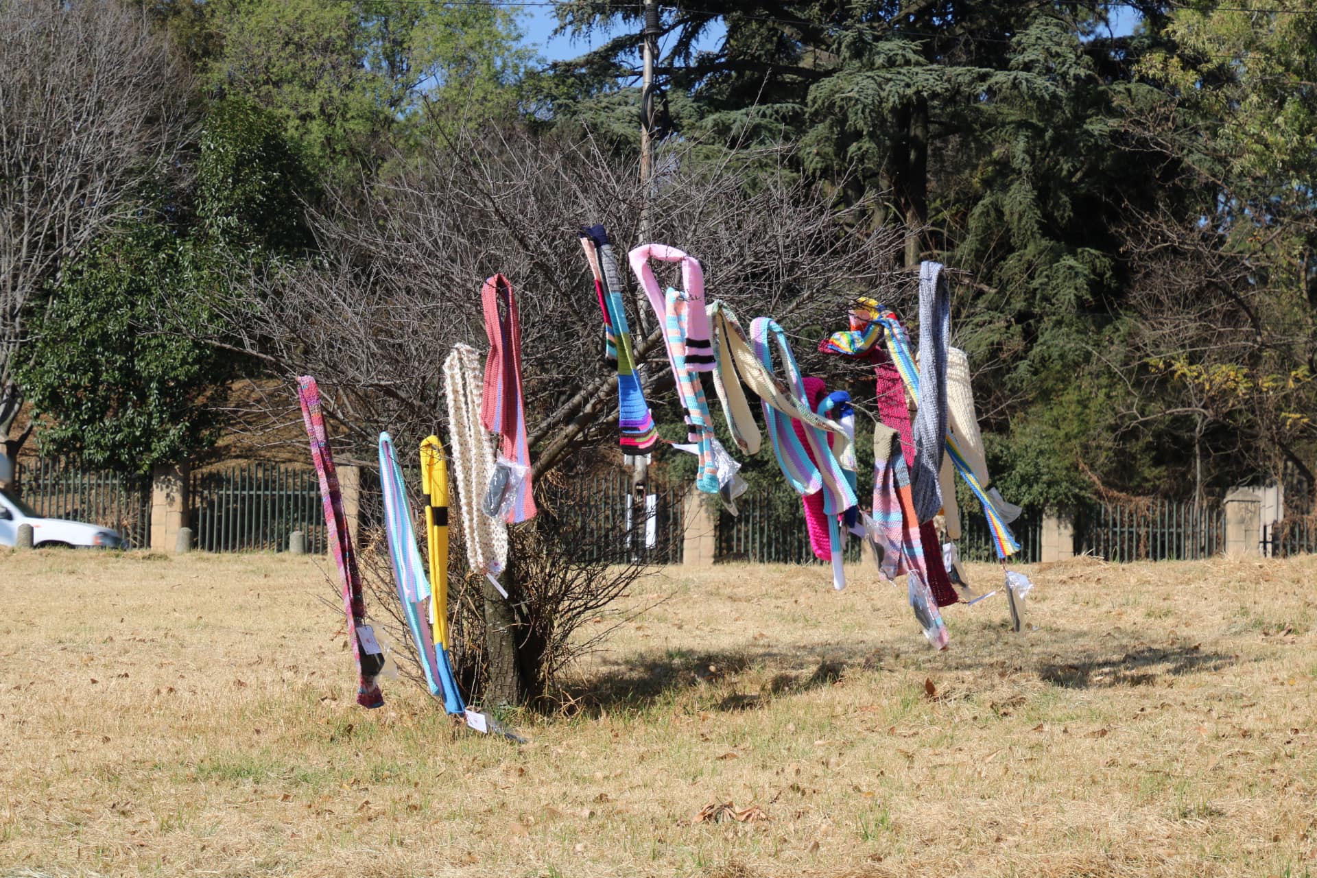 Because even in the middle of the COVID-19 pandemic, Carolyn Steyn and her KnitWits have been hard at work making sure the secret scarf mission will keep the most vulnerable warm this winter!