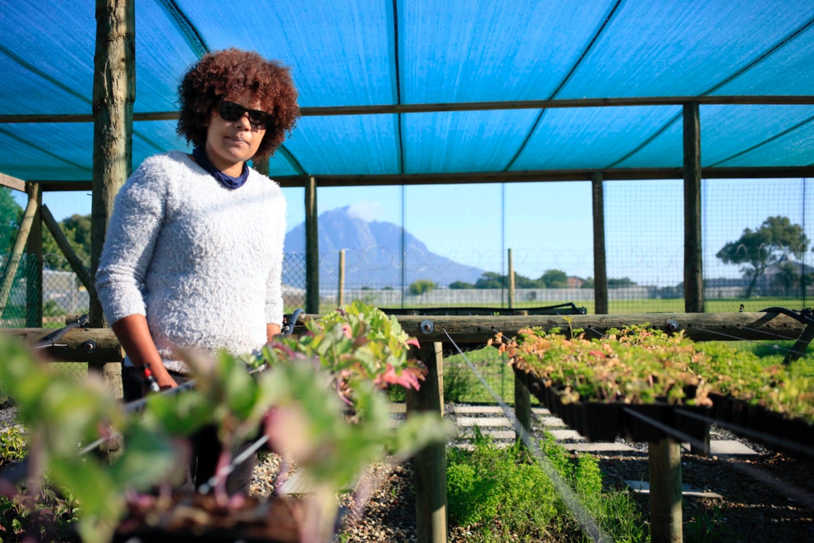 Growbox to introduce sustainable vegetable farming in the Cape Flats