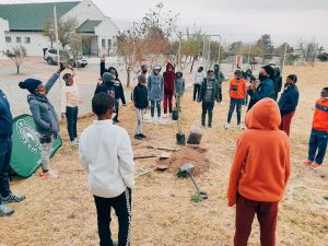 SA receives 4.6-million trees in 30 years thanks to Food & Trees for Africa