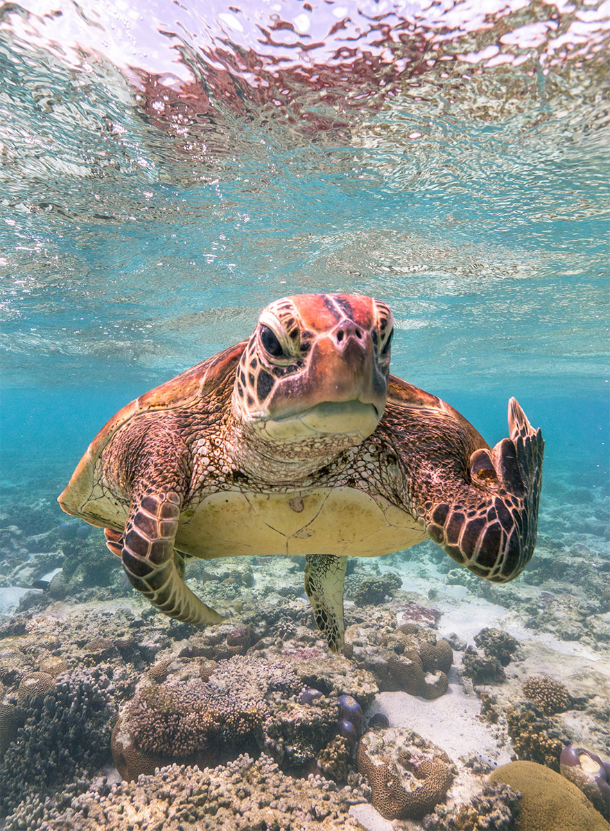 They hope the pictures encourage people to shop responsibly, be mindful of their water use, and speak out about environmental issues — in addition to making people laugh.