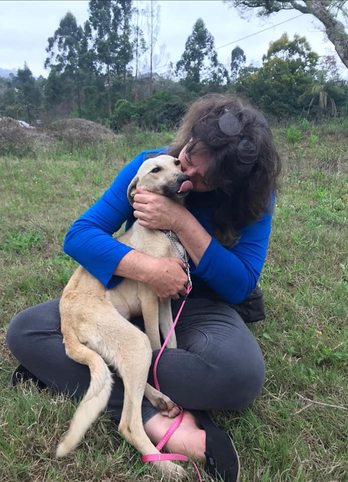The transformation of this pup is proof that love heals all wounds!