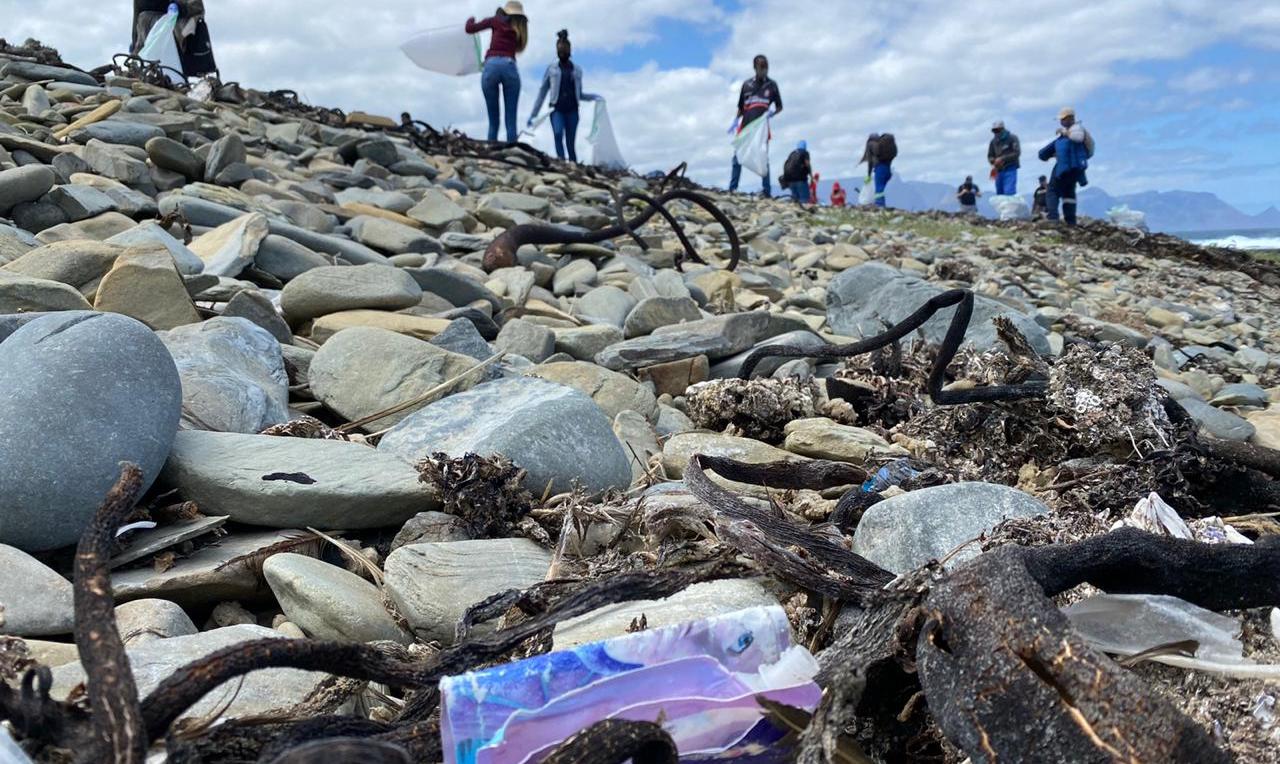 150 Volunteers Get Stuck in to Clean Robben Island Beaches