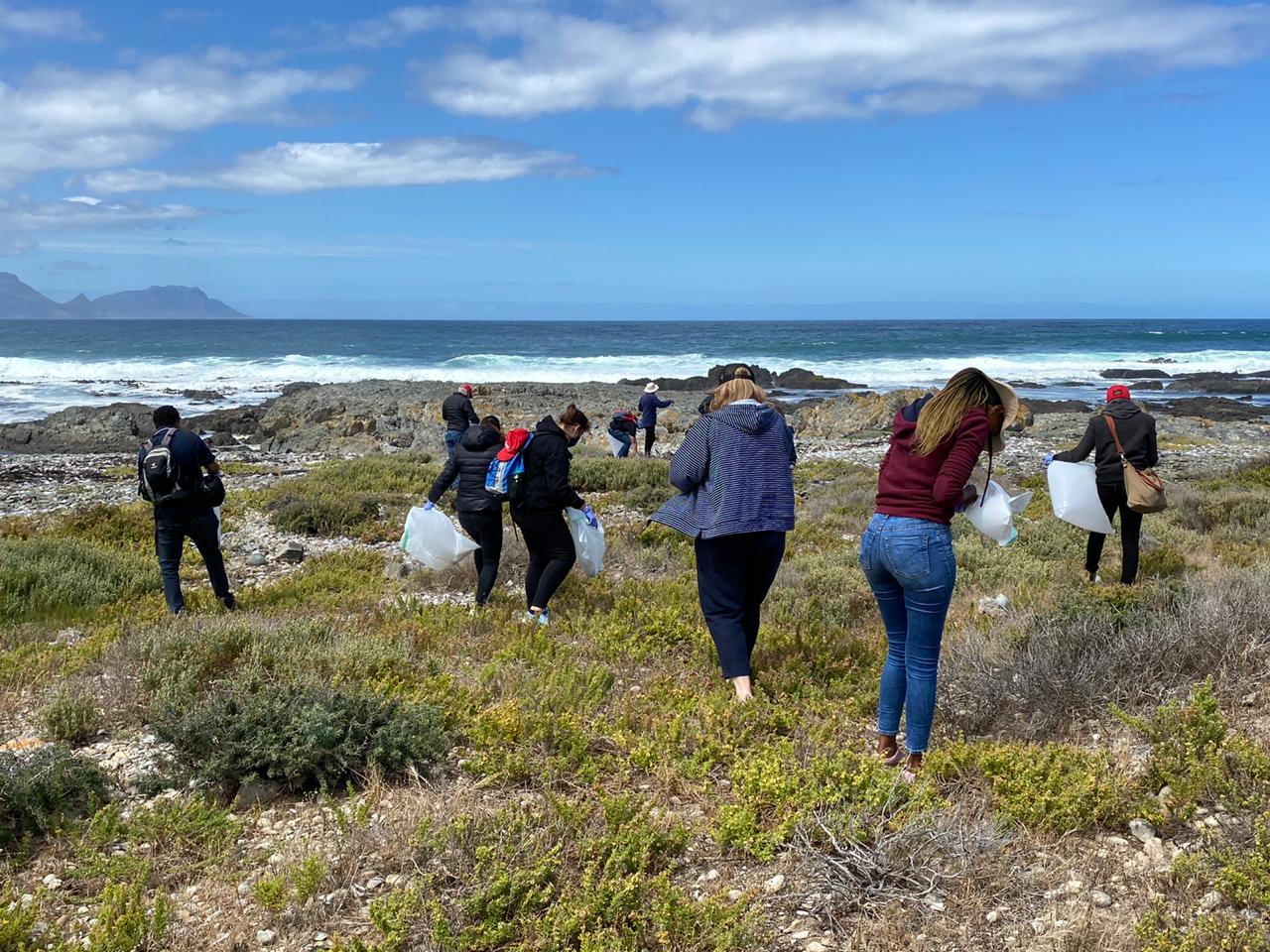 150 Volunteers Get Stuck in to Clean Robben Island Beaches