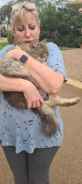 From Kyalami to Midstream - Lost Cat Found 27 Kilometres From Home!