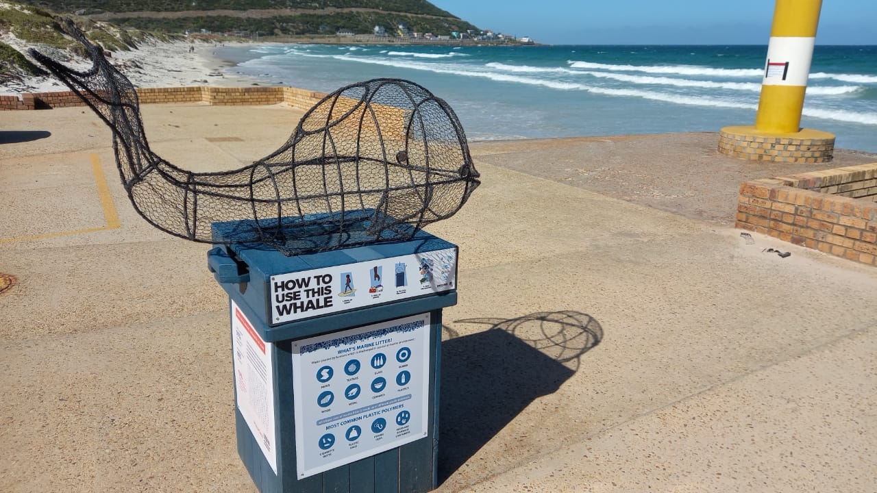 Fish Hoek Beach Welcomes Two Recycling Whales - Project to Roll Out to Other Beaches