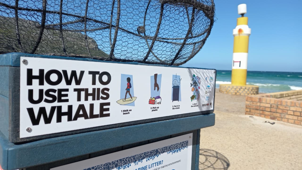 Fish Hoek Beach Welcomes Two Recycling Whales - Project to Roll Out to Other Beaches