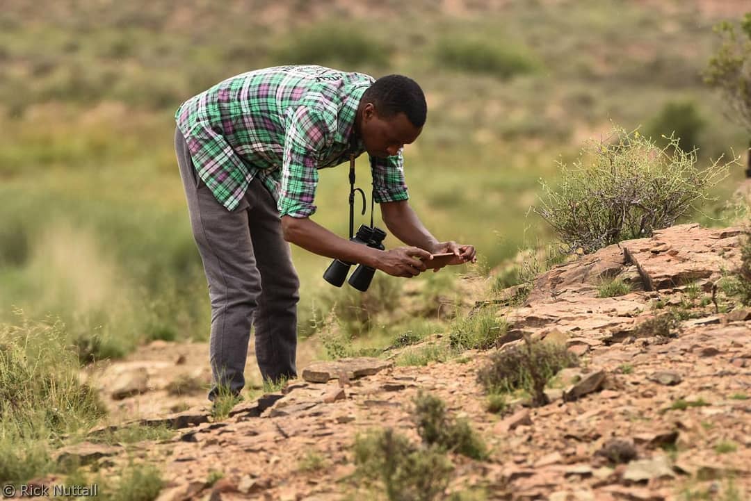 Citizen Scientists