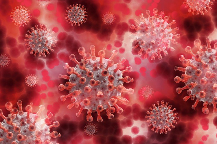 Vaccine