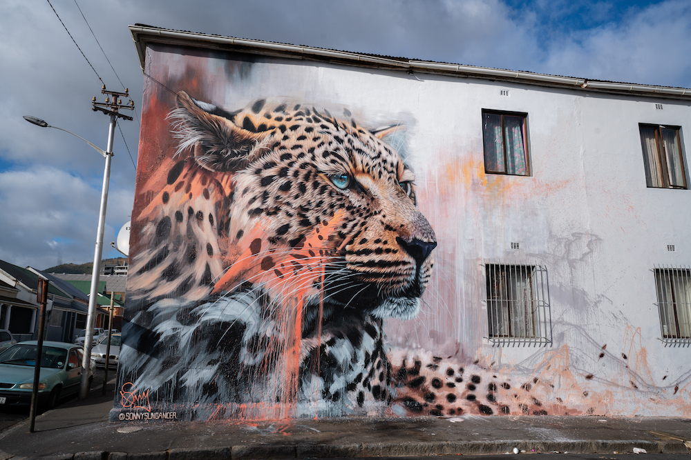Sonny's New Mural Shines a Light on Leopard Conservation!