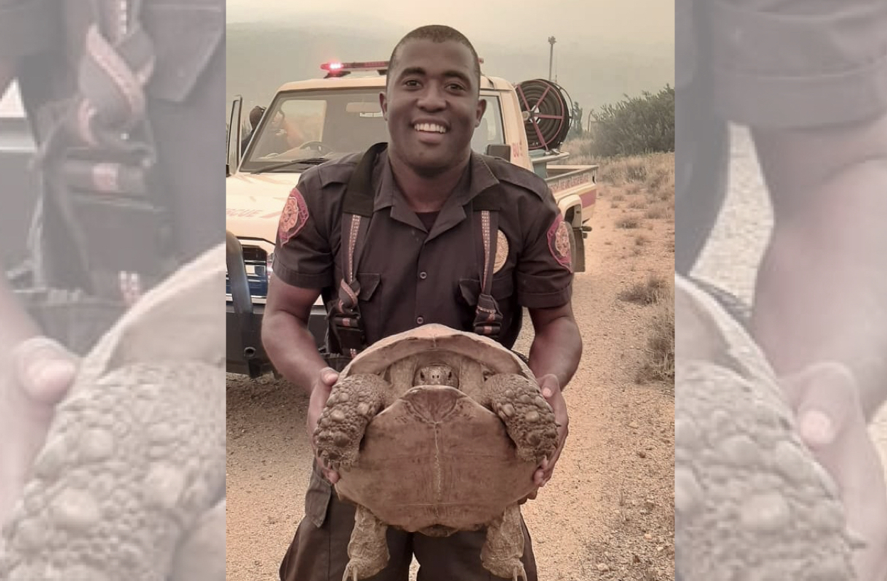 South African Firefighter Celebrated for Saving a Tortoise!