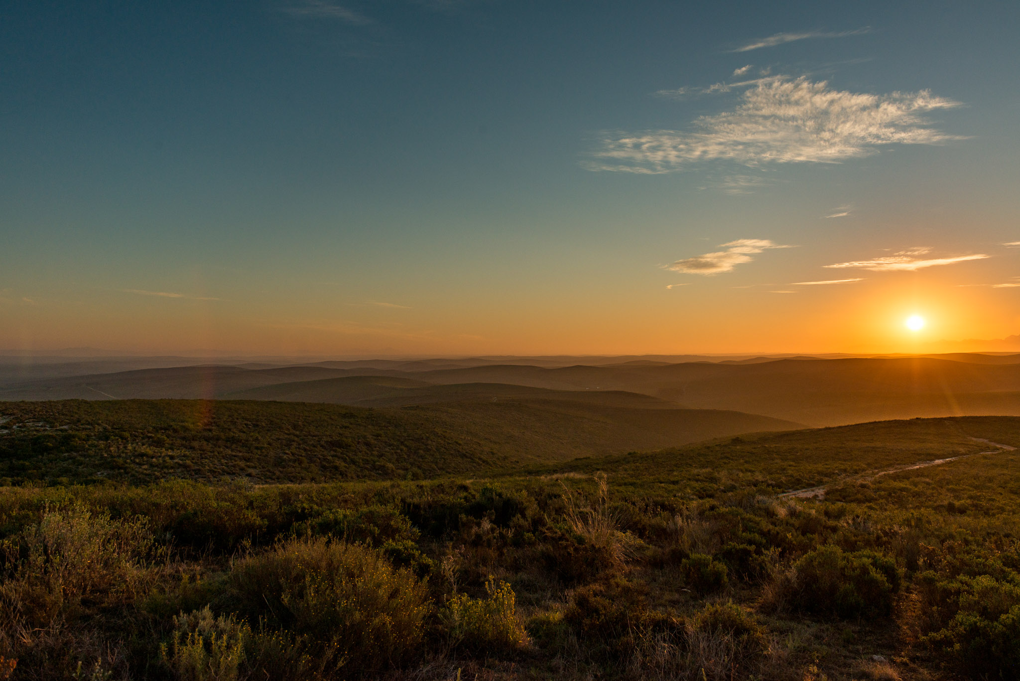 Combining Conservation With Autumn Adventures (in Critically Endangered Renosterveld)!