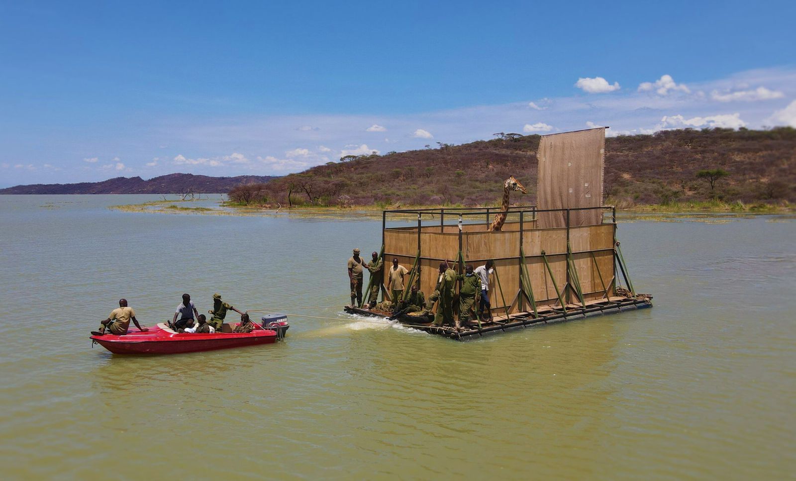 Community Build 'GiRaft' To Rescue Giraffes Off Sinking Island!
