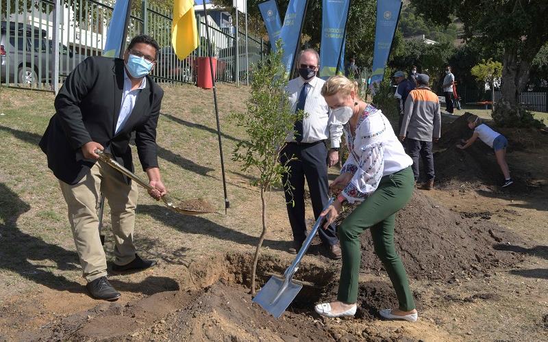 Greening the Planet - Cape Town Joins Project to Plant 1 Million Trees!