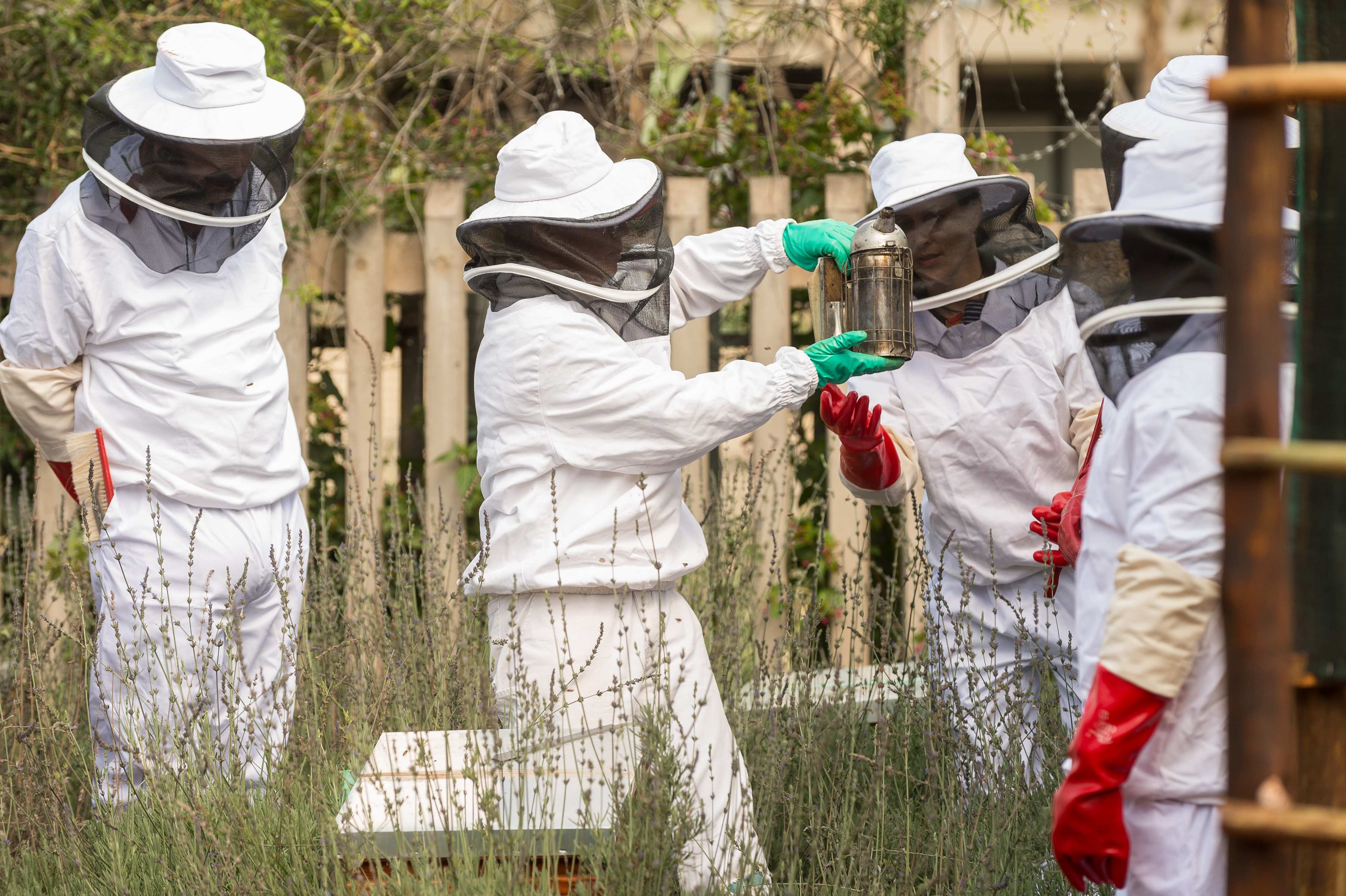 Beekeeping at Community Garden Brings Life - In More Ways Than One!