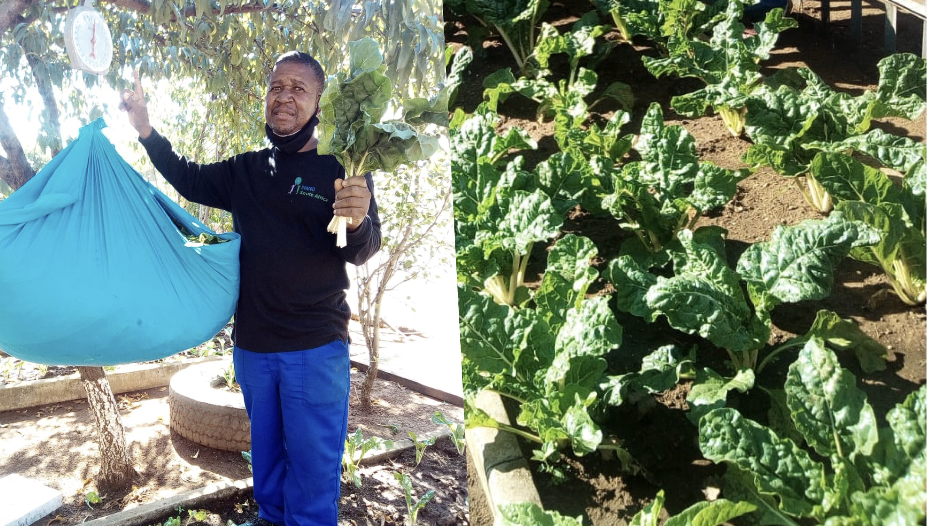 Aquaponics Educates, Feeds And Empowers These South African Kids!