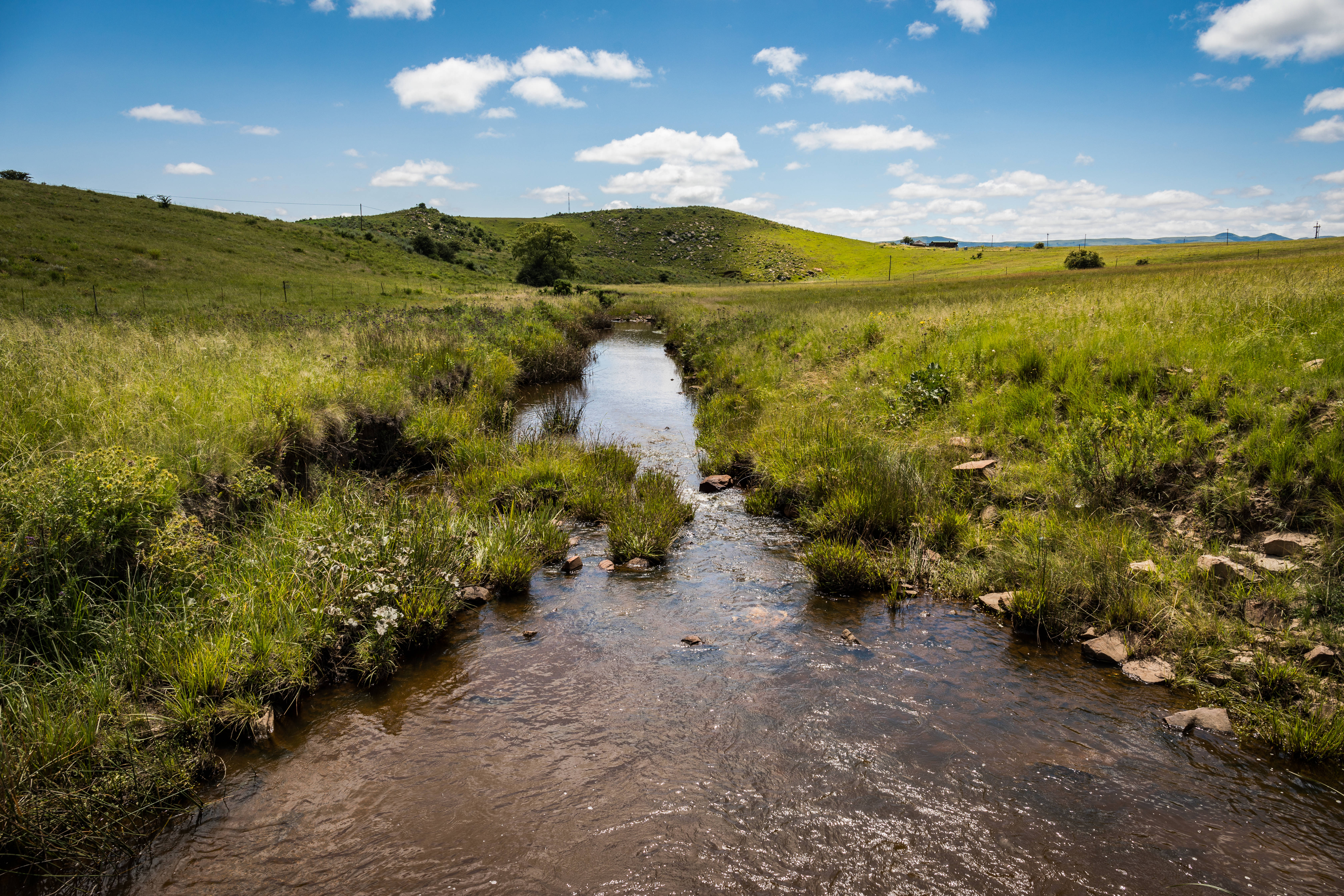 Elandsberg Declaration a Win For Water Security and Biodiversity!
