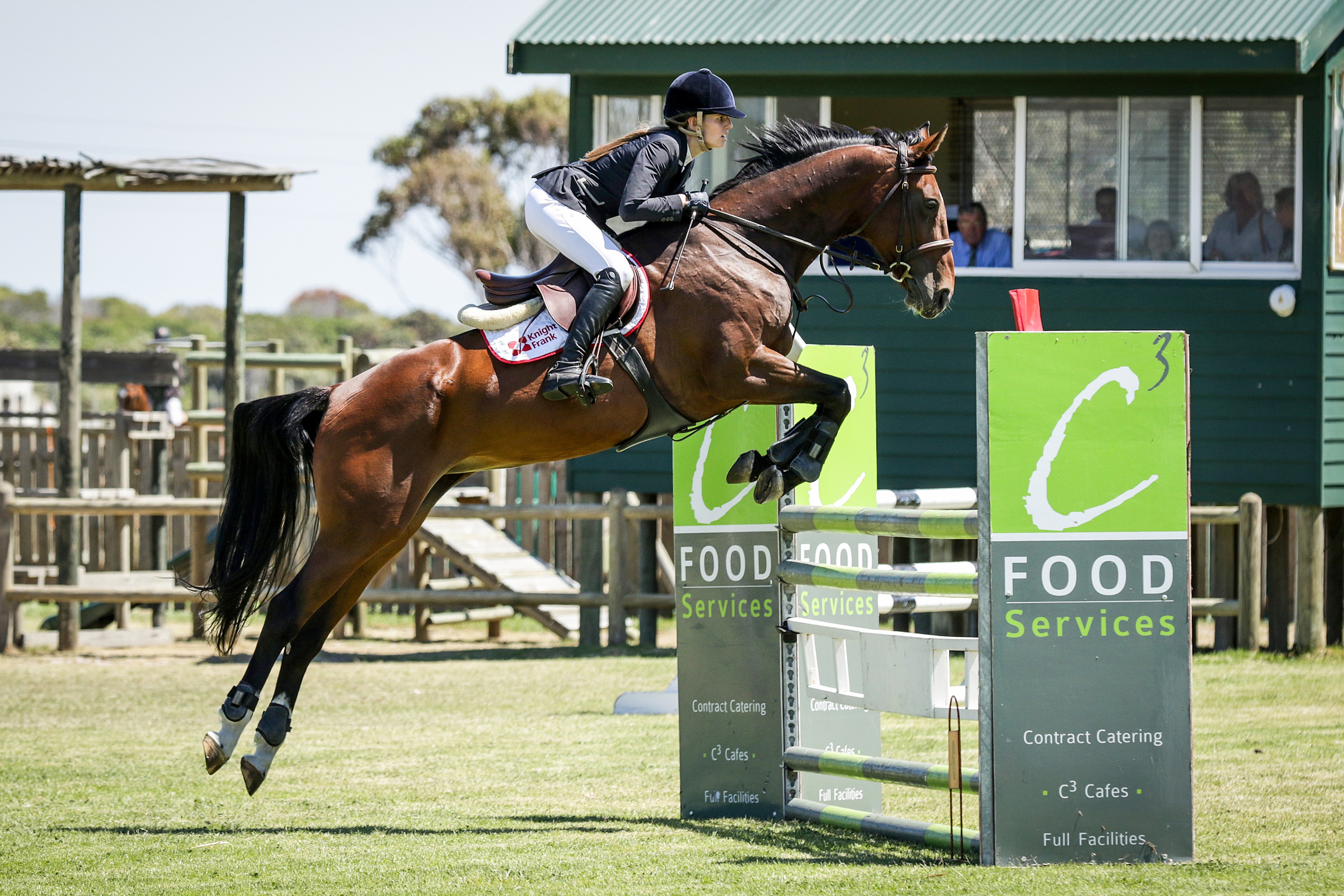 A troublesome horse called Emma was the catalyst that turned a high school pupil from Cape Town into an entrepreneur who started three successful