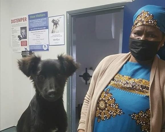 Dog