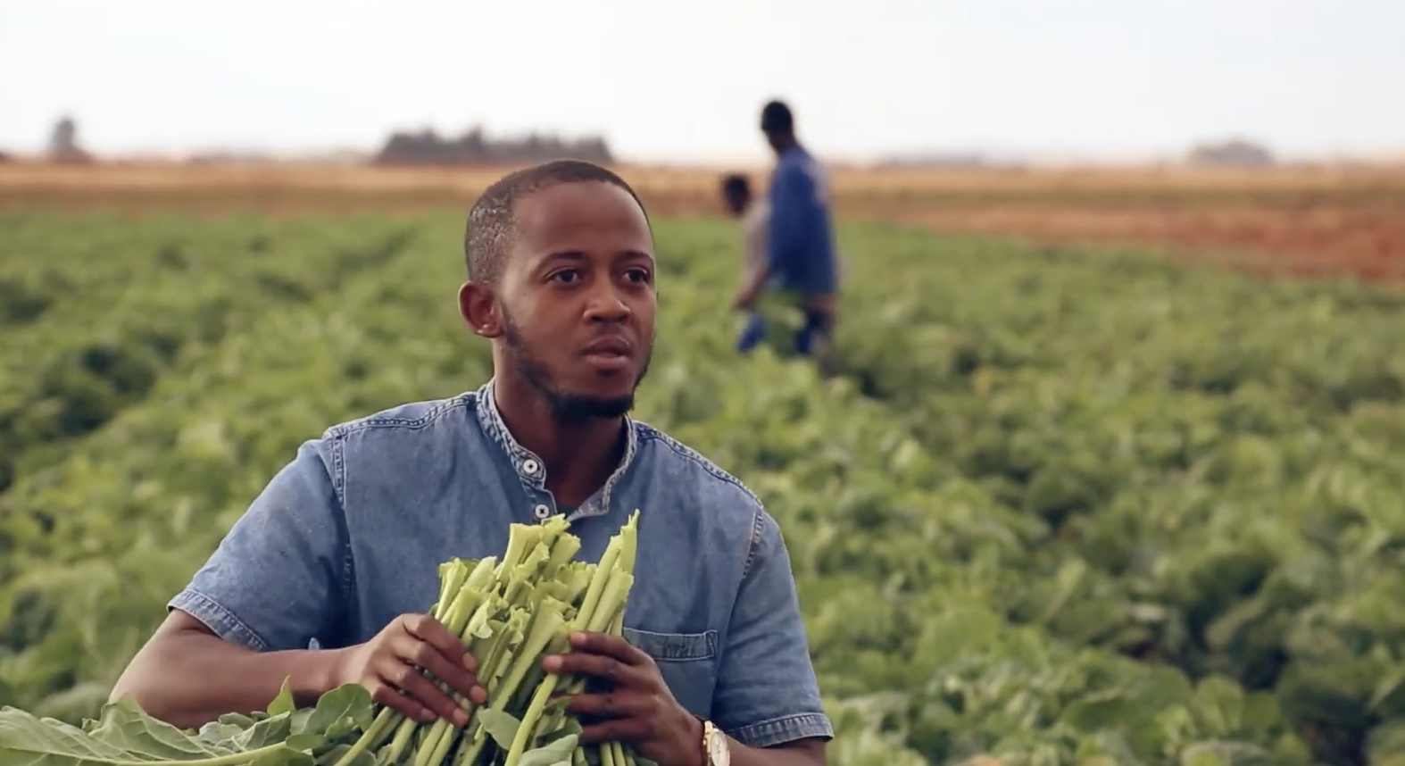 Tebogo Sebambo, a small business farmer