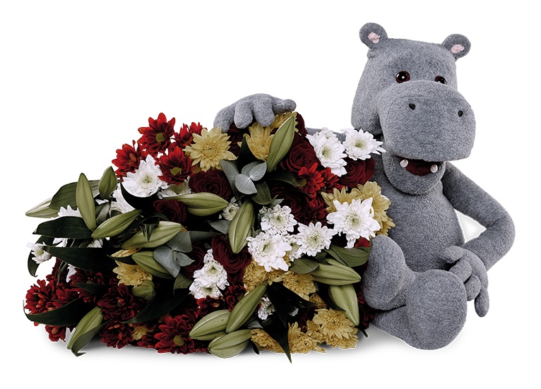 Hippo Community