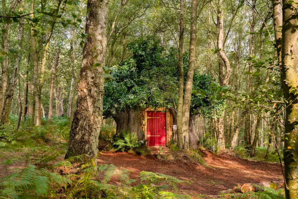 You can live like Disney’s Winnie-the-Pooh in the original Hundred Acre Wood to celebrate his 95th anniversary.