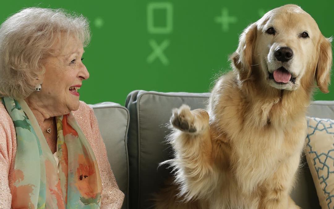 #BettyWhiteChallenge Raises R191 Million For Animal Shelters