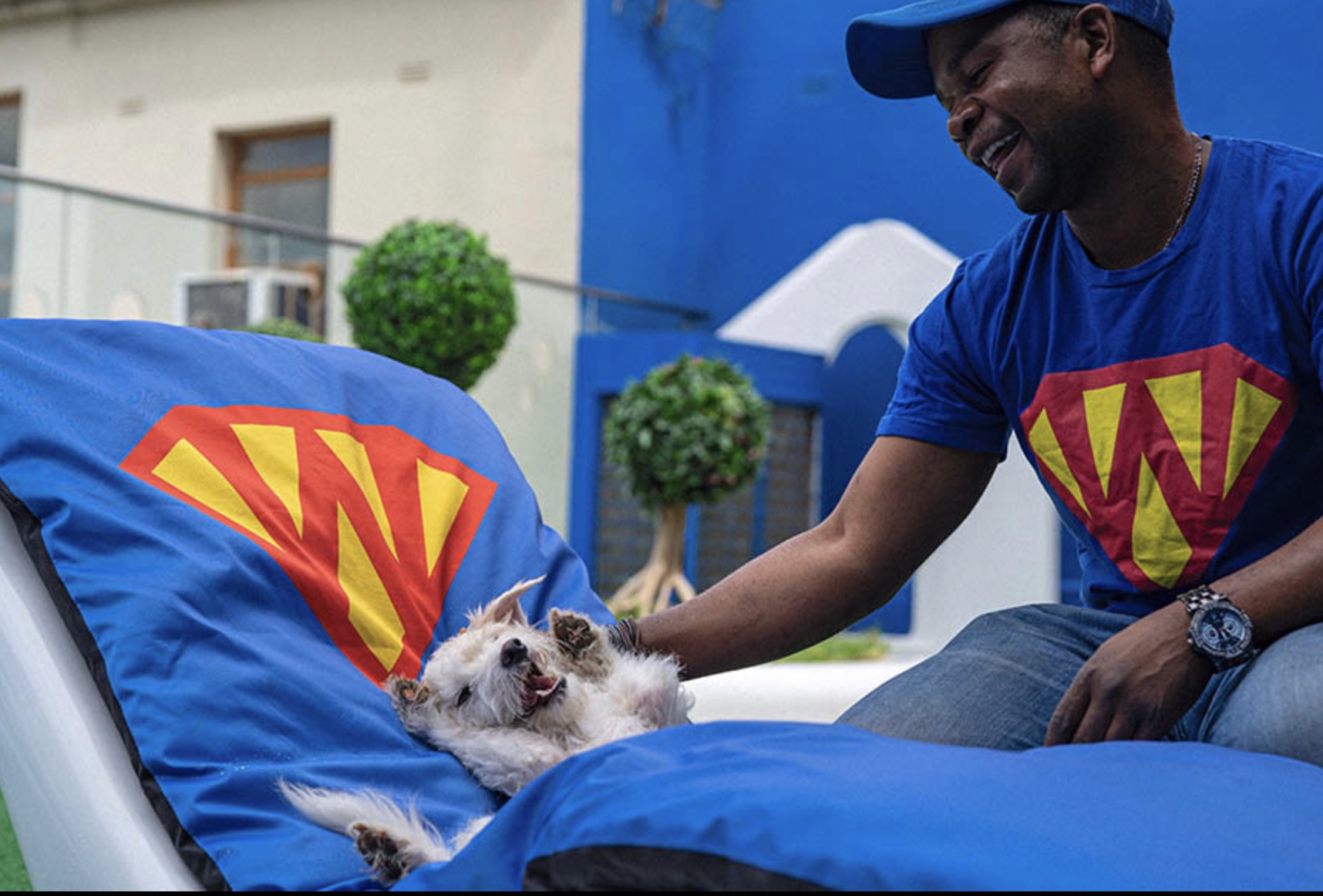 Superwoof! 6-Star Doggy Hotel is The Best Thing You Will See Today!