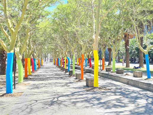 Rainbow Tree Project - Sparking Joy in The Heart of Cape Town!
