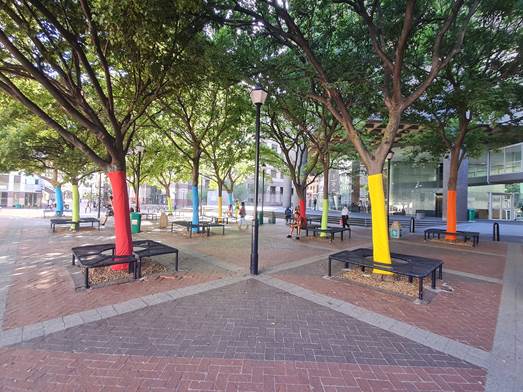 Rainbow Tree Project - Sparking Joy in The Heart of Cape Town!
