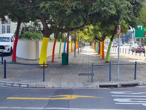 Rainbow Tree Project - Sparking Joy in The Heart of Cape Town!