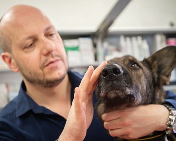Watch: Hundreds of Ukraine Animals Find Refuge in Poland!