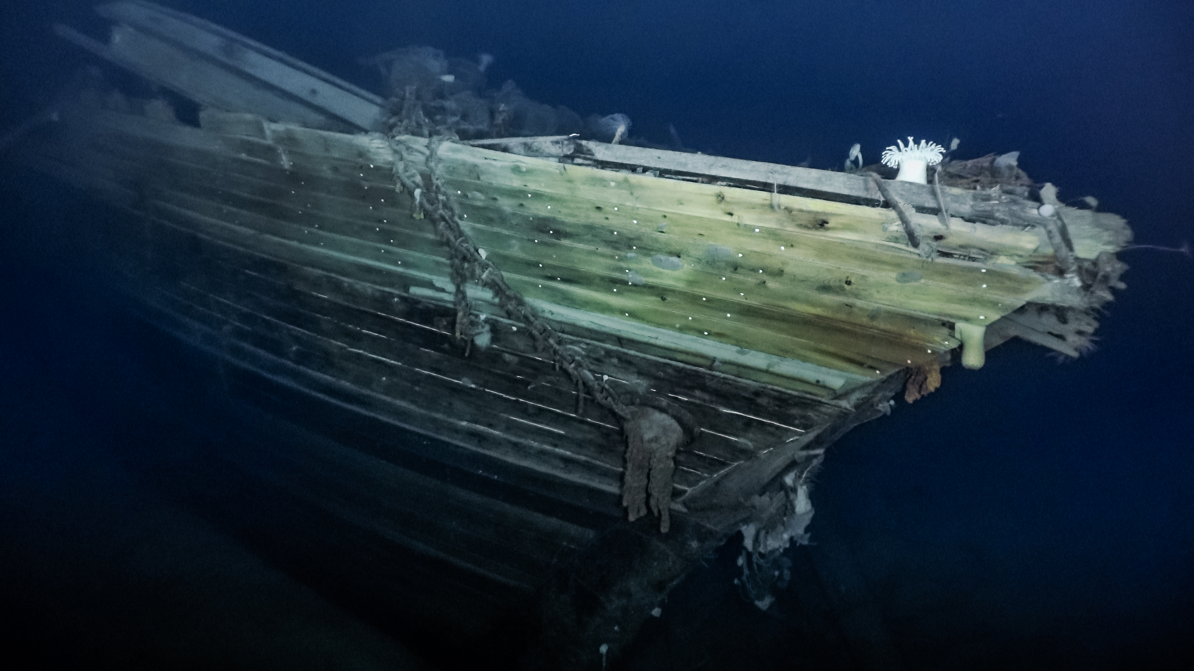 Endurance: Shackleton's Lost Ship Found in Antarctic!