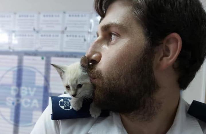 SPCA