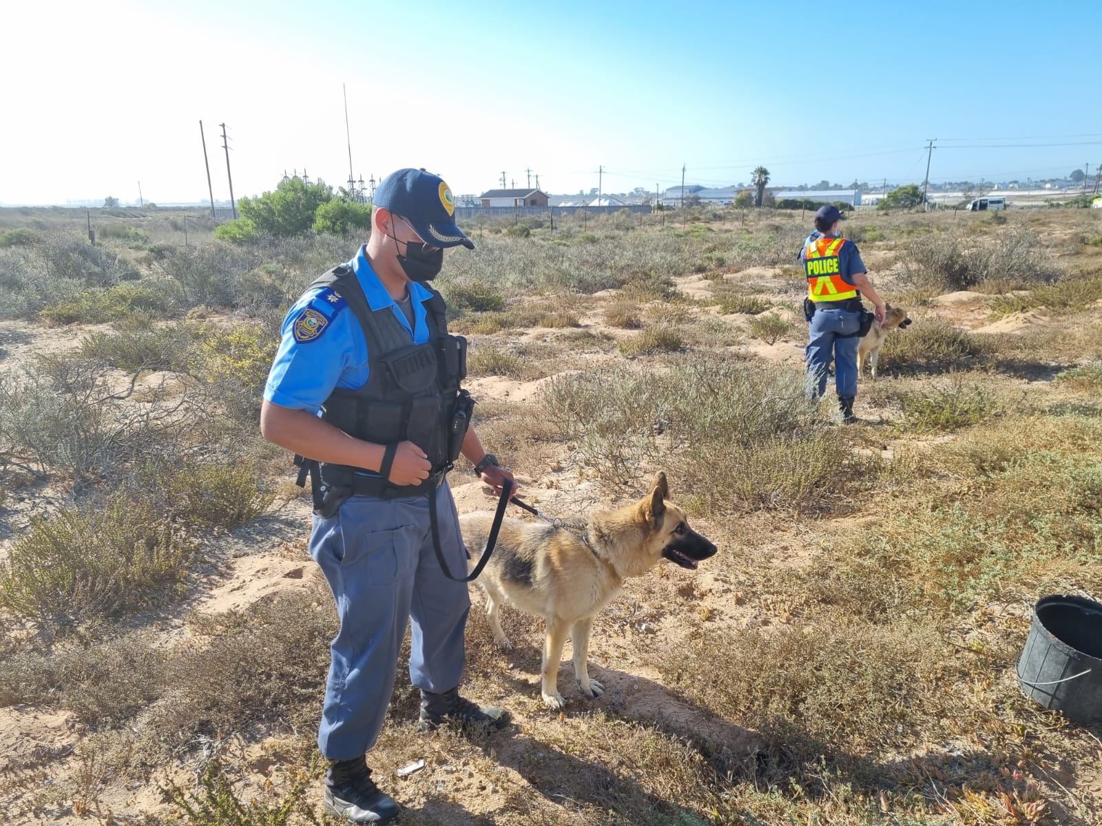 K9