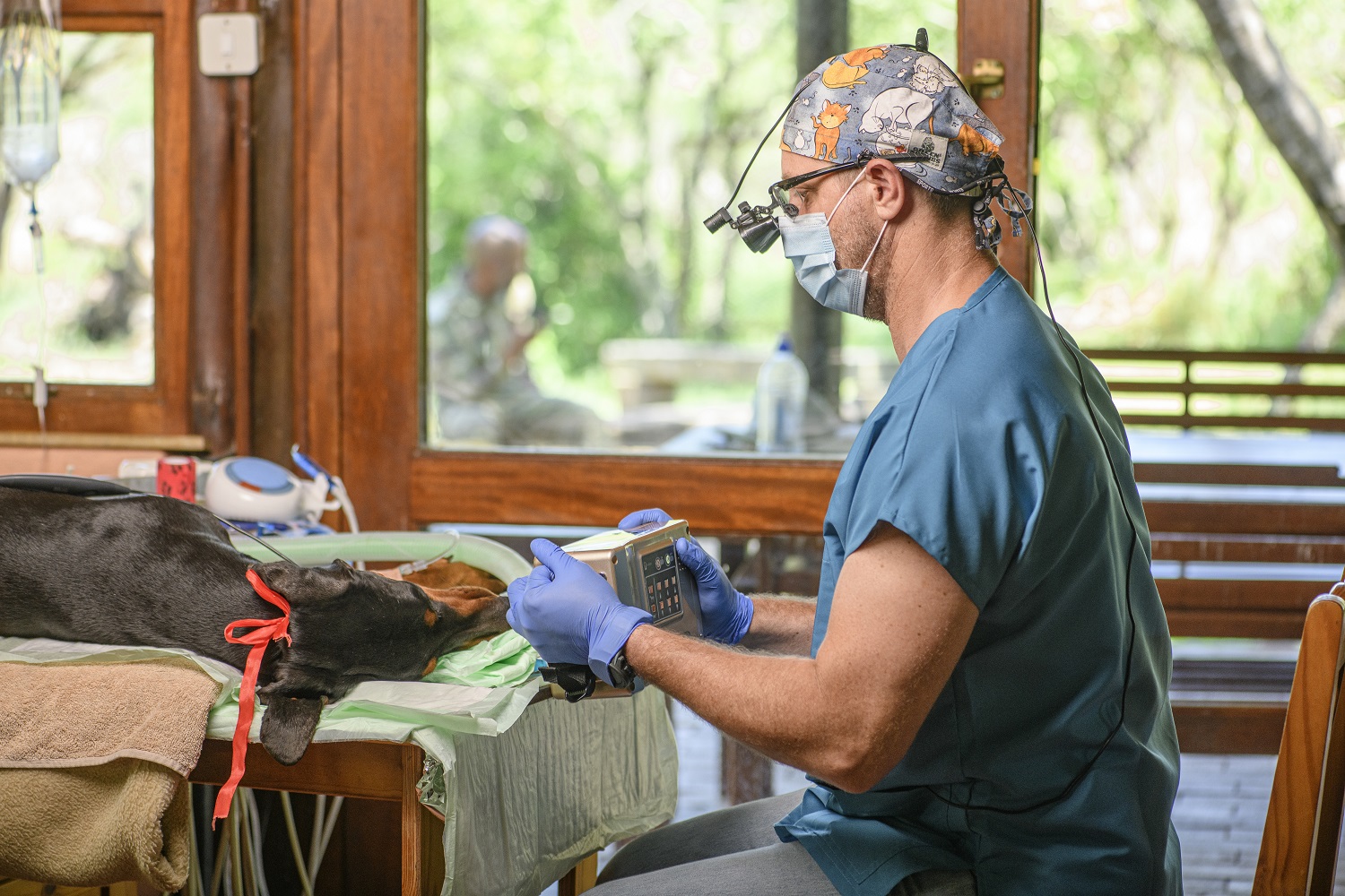 Good Health - Anti-Poaching Pups Get a Visit From The Dentist