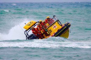 Oyster Bay Spring Tide National Sea Rescue team Save Dog Collapsed on Beach