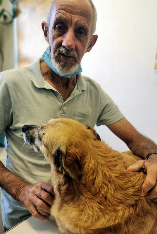 Surrendered Pup Finds a New Home And a Job For Her Dad.